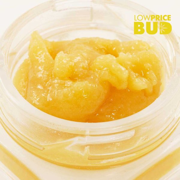 Buy Live Resin – Blueberry Supreme online Canada