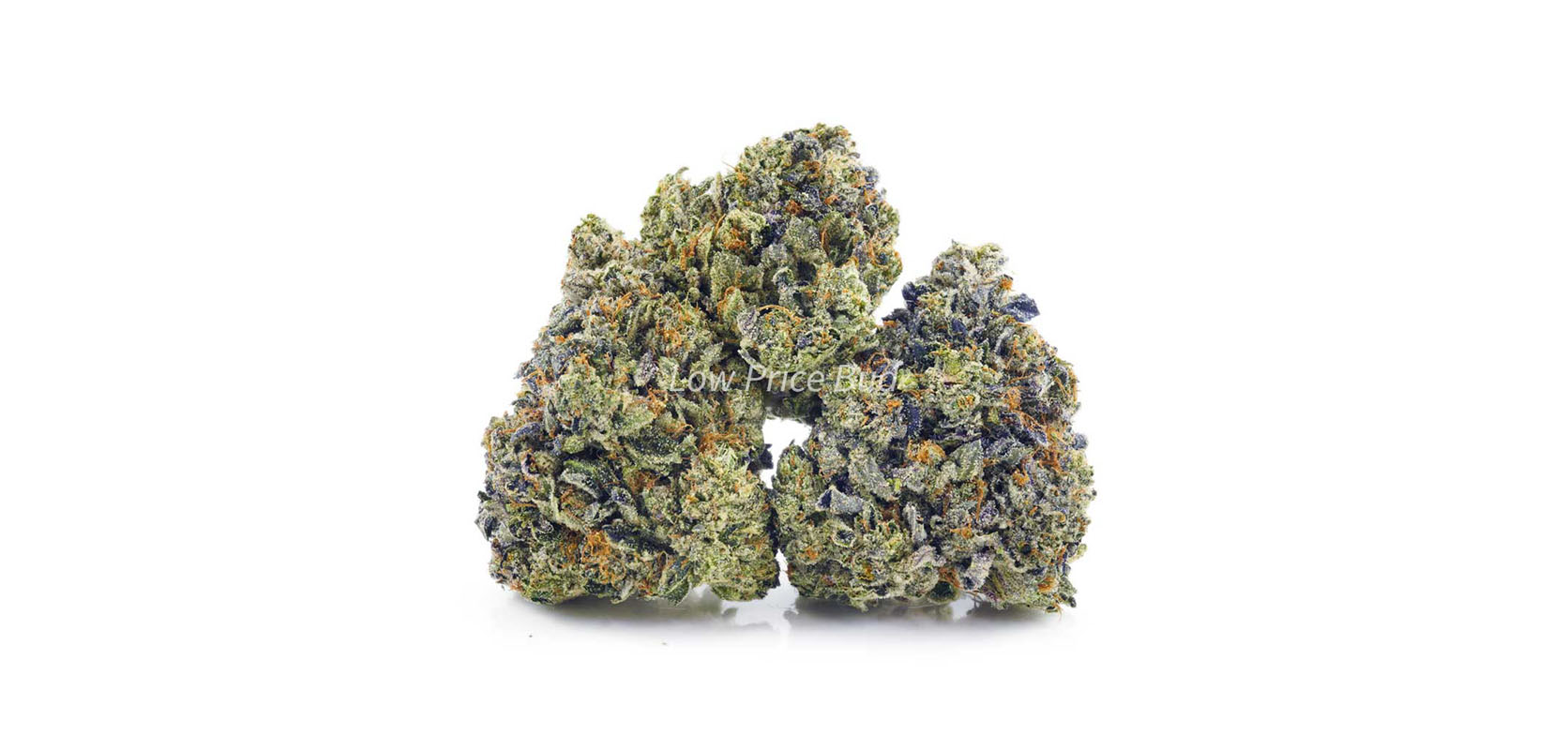 Daniel Larusso weed online Canada. Buy value buds at BC cannabis weed store and online dispensary for weed delivery Canada.