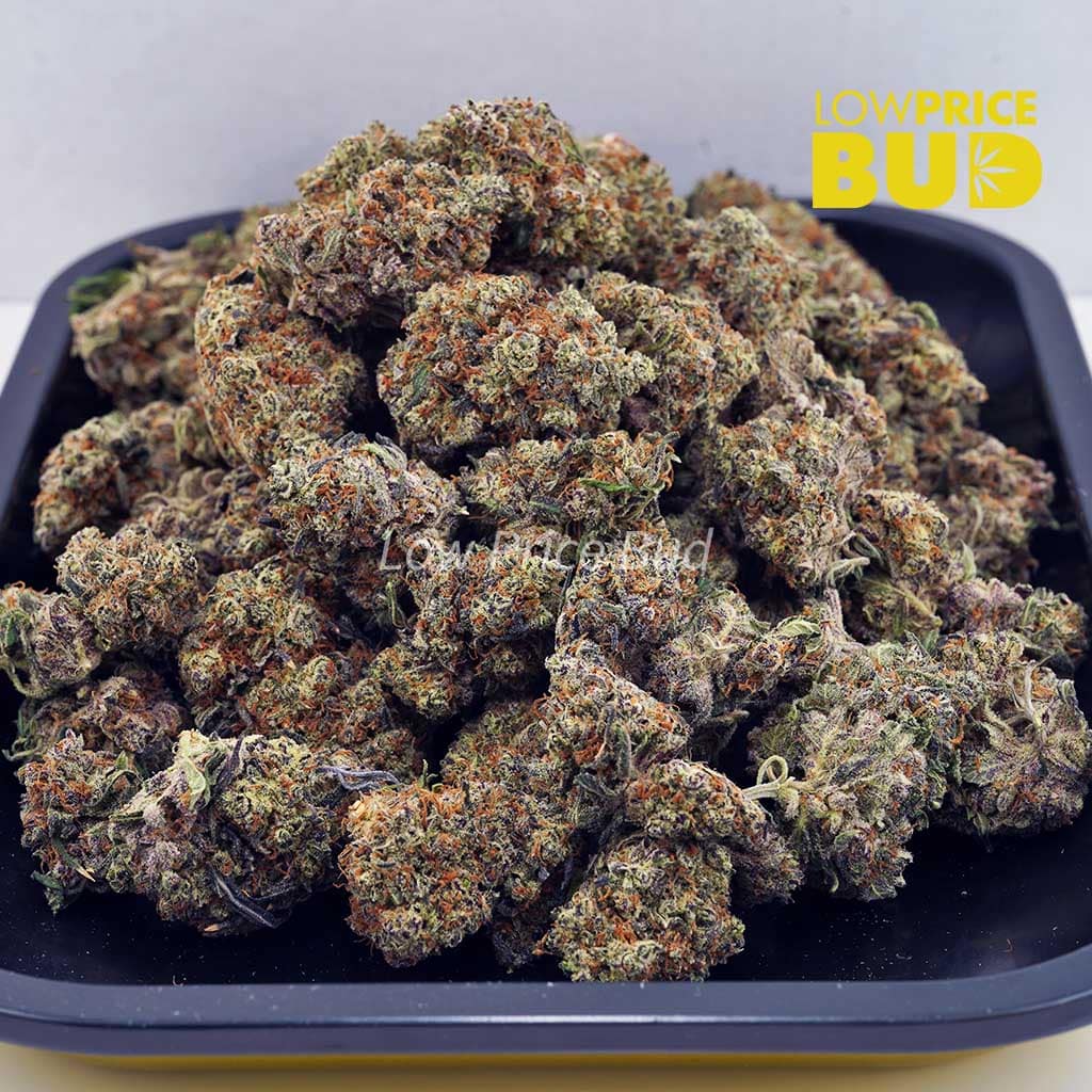 Mendo Breath (Craft Cannabis) Buy Mendo Breath (Craft Cannabis) online Canada