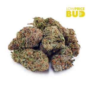 Buy OG Kush (AA) online Canada