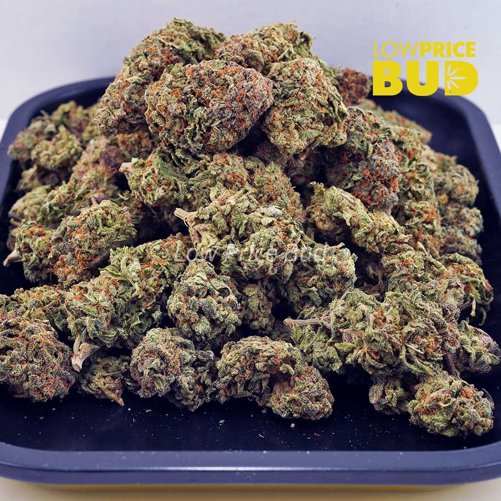 OG Kush (AA) Buy OG Kush (AA) online Canada