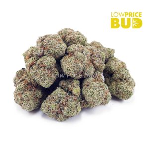 Buy Goudaberry (AAA) online Canada