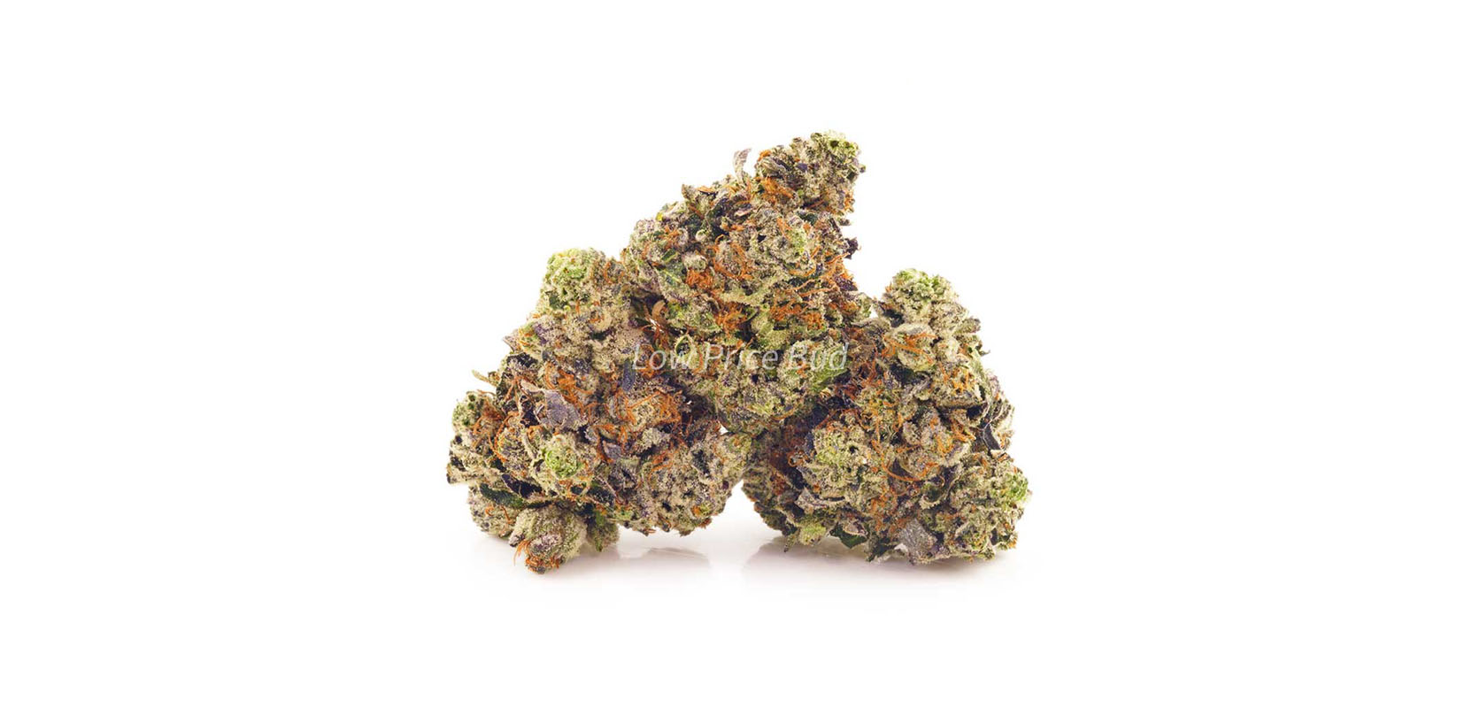 Gas Mask OG value buds at Low Price Bud online dispensary Canada to buy online weeds. bc online dispensary. cheapest weed online canada. order weed canada.