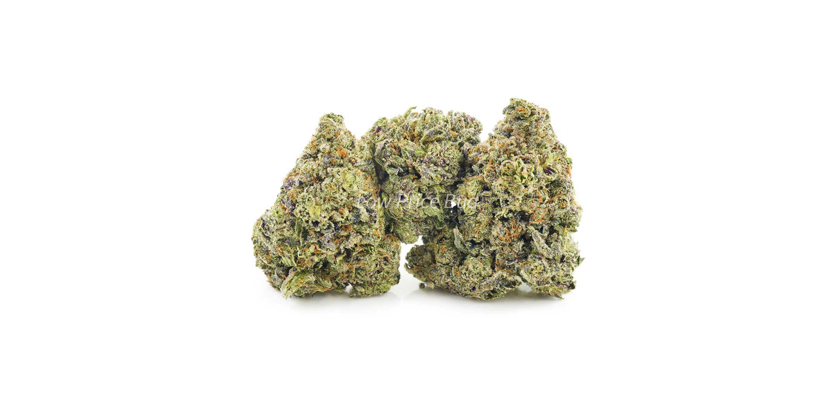 Cheapweed buds Holy Grail strain weed online Canada at Low Price Bud dispensary for mail order marijuana. weed shop. budmail. buy weed online canada. gummys and vape pens.