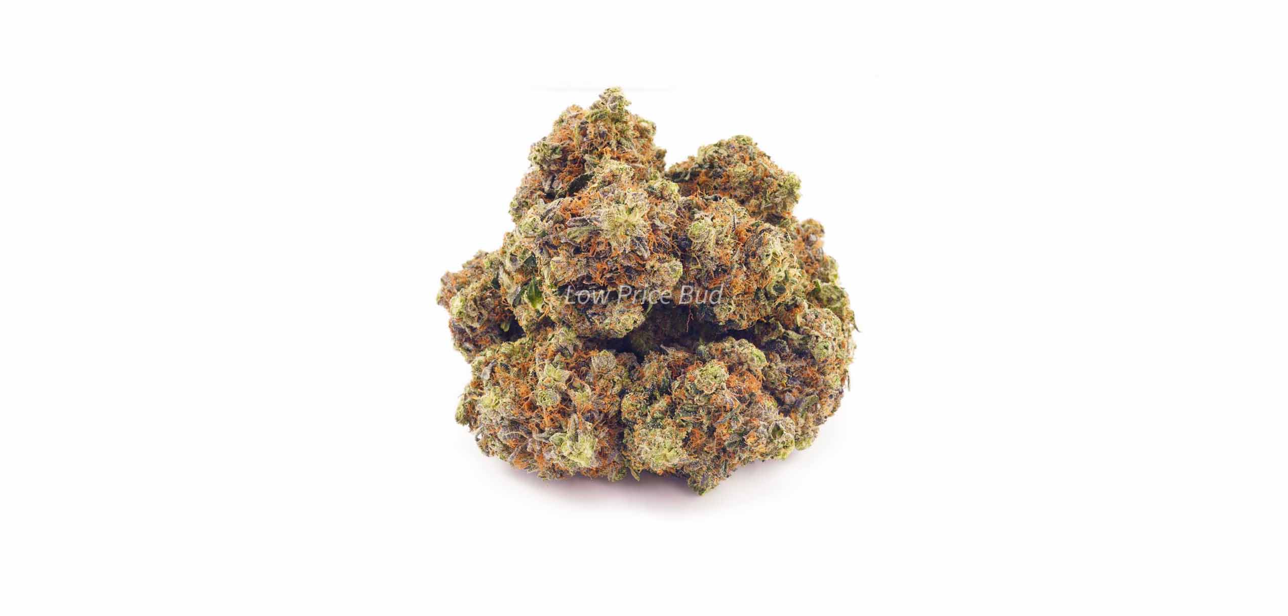 Island Pink Kush value buds from cheapweed dispensary for BC cannabis Low Price Bud. cheap weed online. cheap ounces of weed. buy weed.