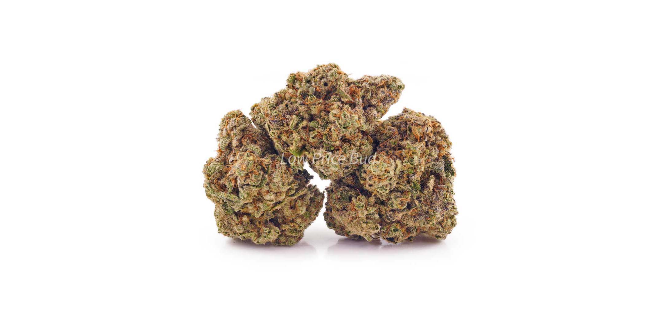 Lemon Meringue value buds at mail order marijuana dispensary for value buds and cheapweed. BC cannabis weed store Low Price Bud. buy weed.