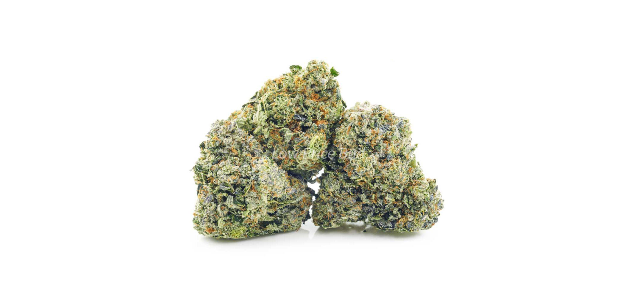 Pink Kush budget buds from low price bud dispensary for BC buds online. bc online dispensary. cheapest weed online canada. order weed canada.