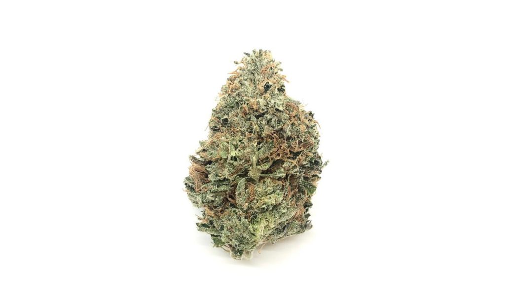 white death weed online Canada at Low Price Bud dispensary. mail order weed canada. edible gummies. weed dispensary vancouver. buy weed online.