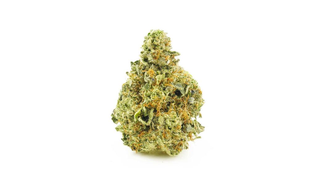 Sophie's Breath weed online canada at Low Price Bud dispensary. cannabis stores. weed delivery canada. weed online. dispenseries.