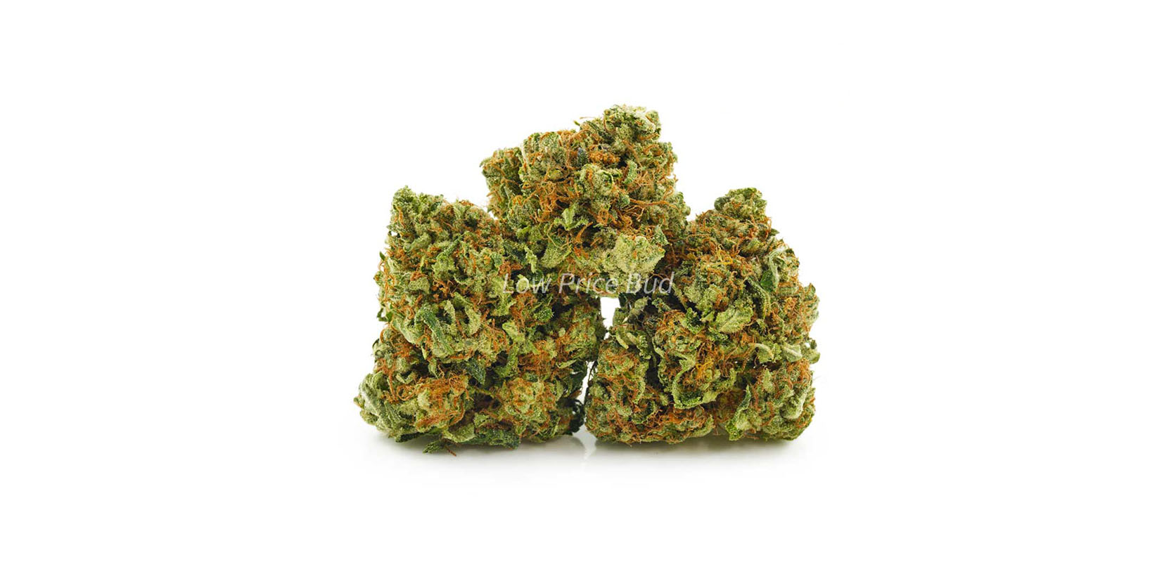 Cherry Punch weed online Canada at Low Price Bud dispensary for value buds and BC cannabis. buy online weeds. cheapweed.