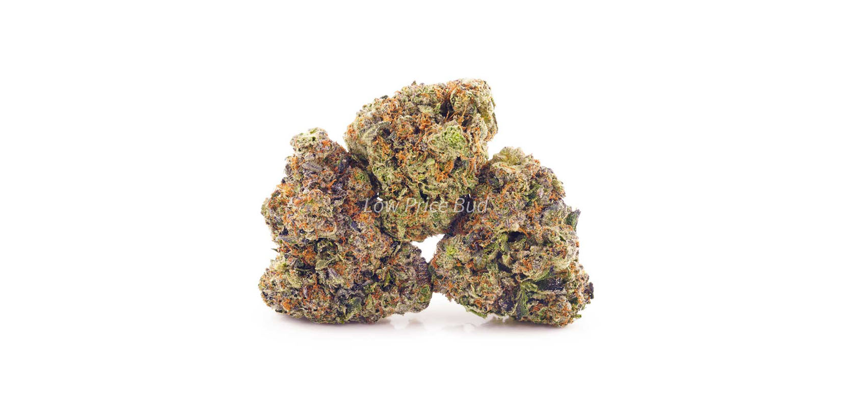 Buy Death Bubba strain value buds from Low Price Bud dispensary for cheapweed and weed online canada.