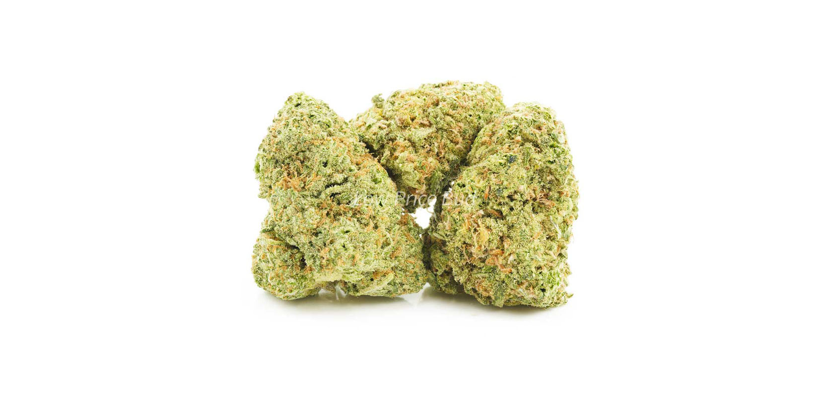Girl Scout Cookies budget buds from online weed dispensary Low Price Bud. bc online dispensary. cheapest weed online canada. order weed canada.