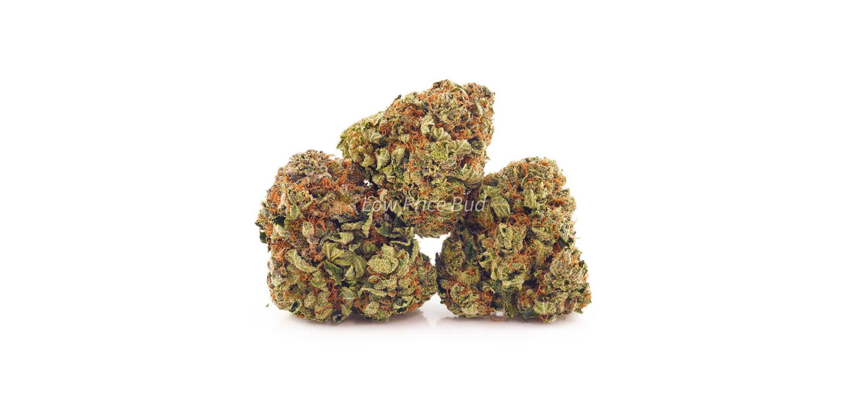Ice Gas weed online Canada at BC cannabis dispensary for value buds Low Price Bud. Buy online weeds. order weed online canada. cheap budz. cheap cannabis.