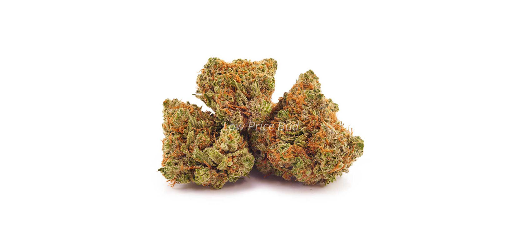 Lemon Haze value buds from cheapweed dispensary Low Price Bud BC cannabis store and online dispensary Canada for mail order marijuana. buy weed.