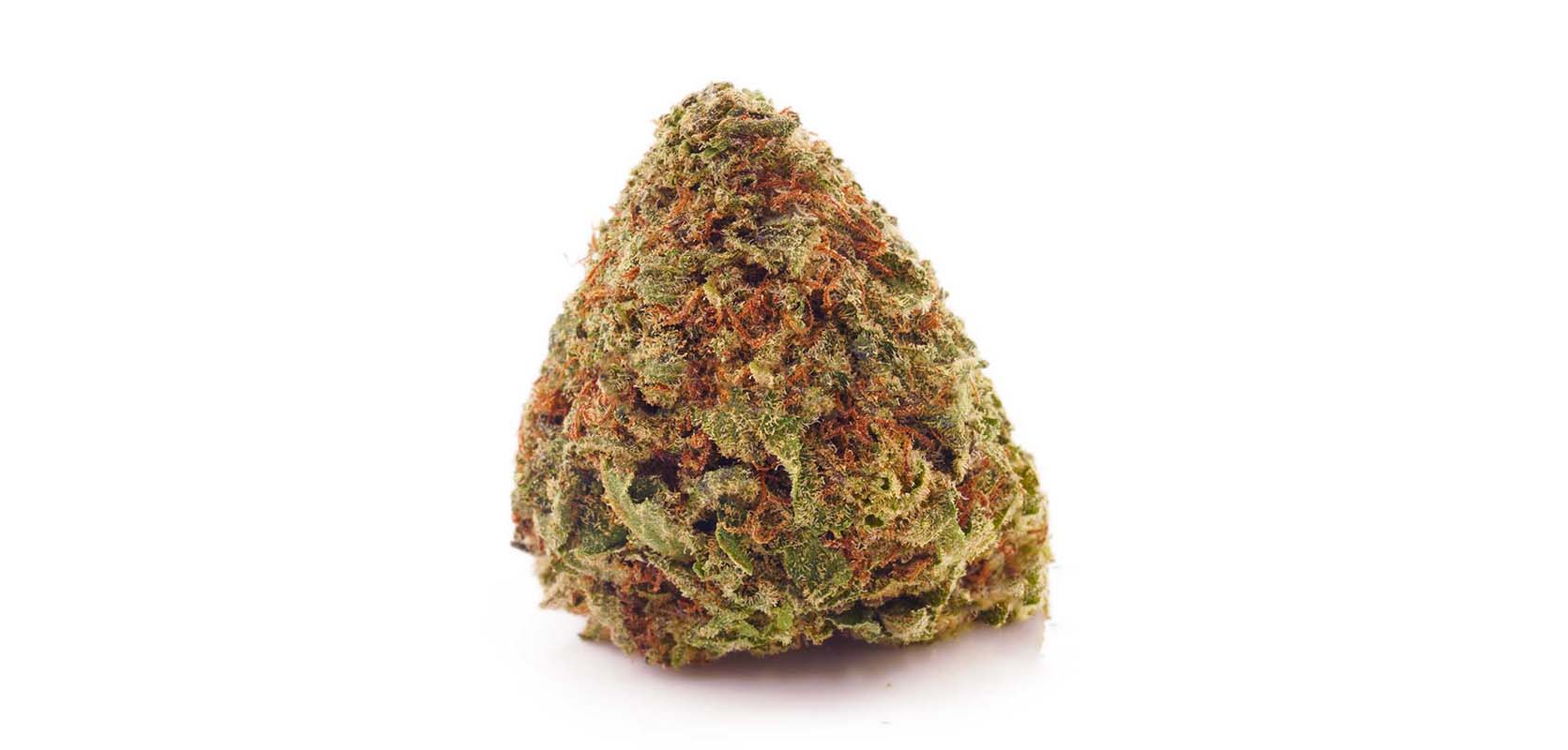 Passion Fruit weed online Canada. Best Budget Bud from online dispensary Canada Low Price Bud. Cheapweed online.
