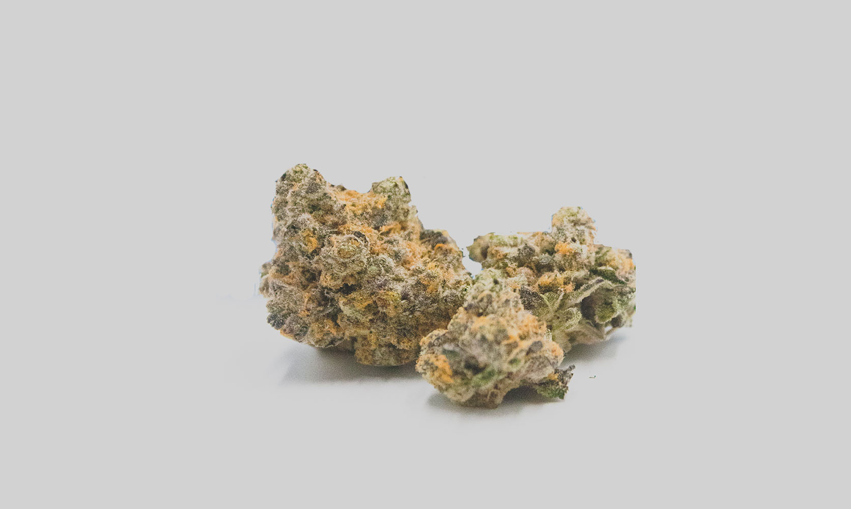 Purple Drank Breath strain value buds from cheapweed dispensary for BC cannabis. Buy weed online Canada.