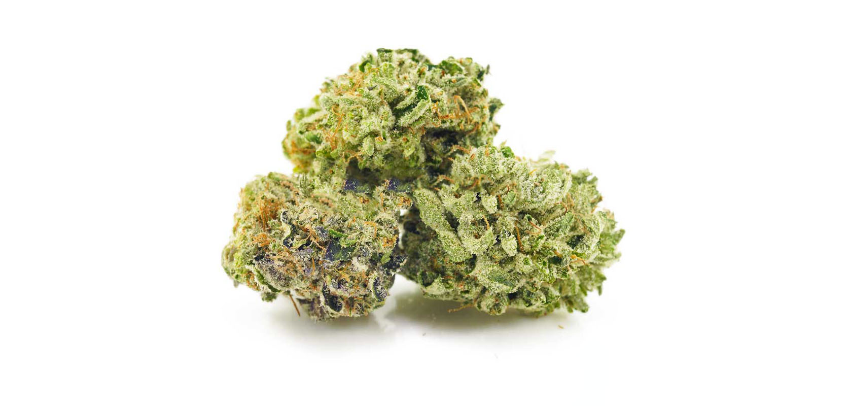 Sophie's Breath Strain weed online Canada at Low Price Bud online dispensary in Canada for BC cannabis. buy weed canada. mail order cannabis canada. concentrates canada. Dispencary.