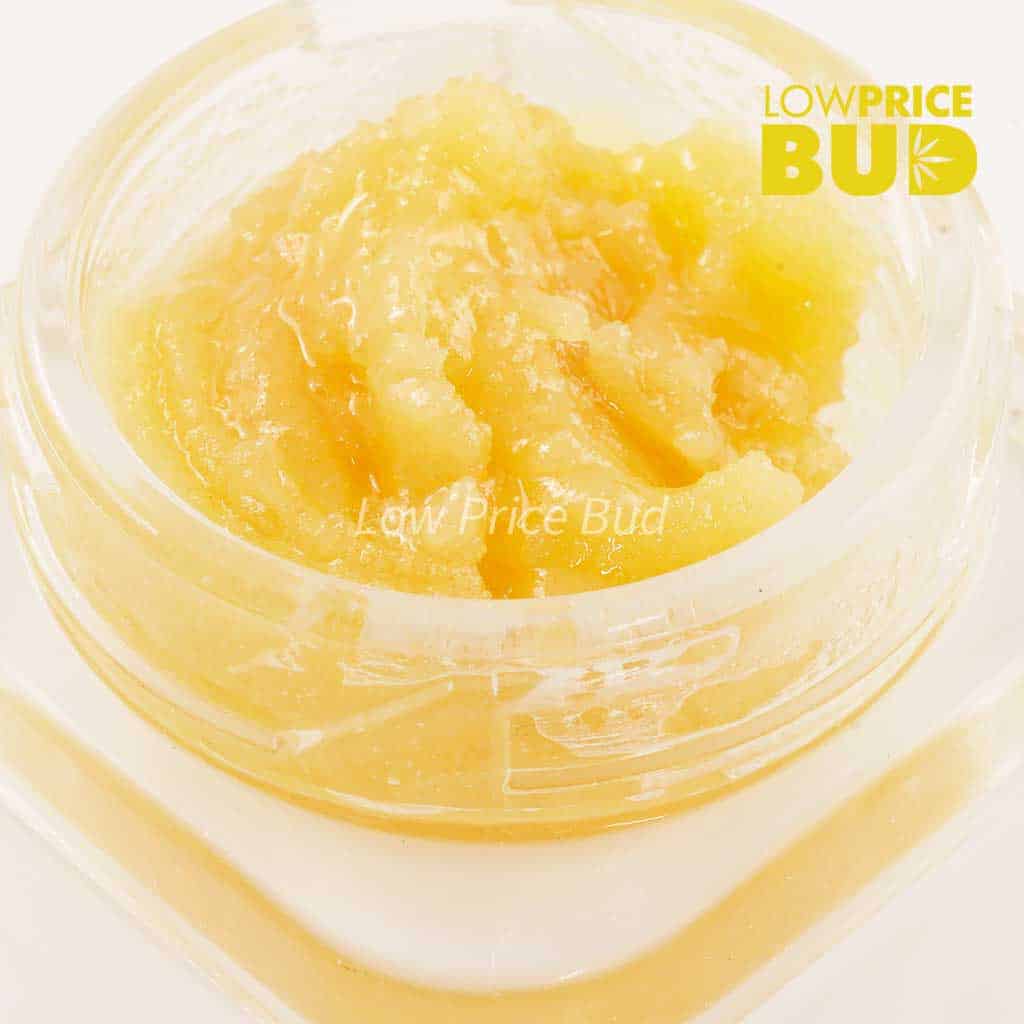 Live Resin – Blue Venom Buy Live Resin – Blue Venom online Canada