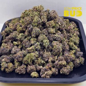 Buy Pink Goo (AAAA) – Popcorn Nugs online Canada