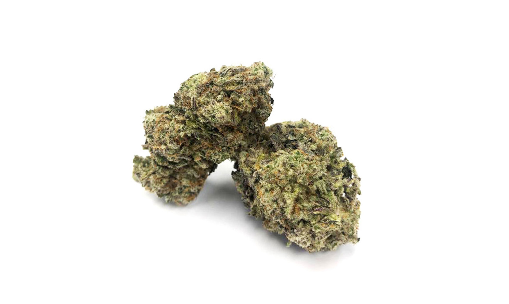 MAC 10 strain budget bud and cheapweed from Low Price Bud weed dispensary. edibles, gummys, and value buds.