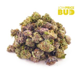 Buy Purple Punch (AAAA) – Popcorn Nugs online Canada