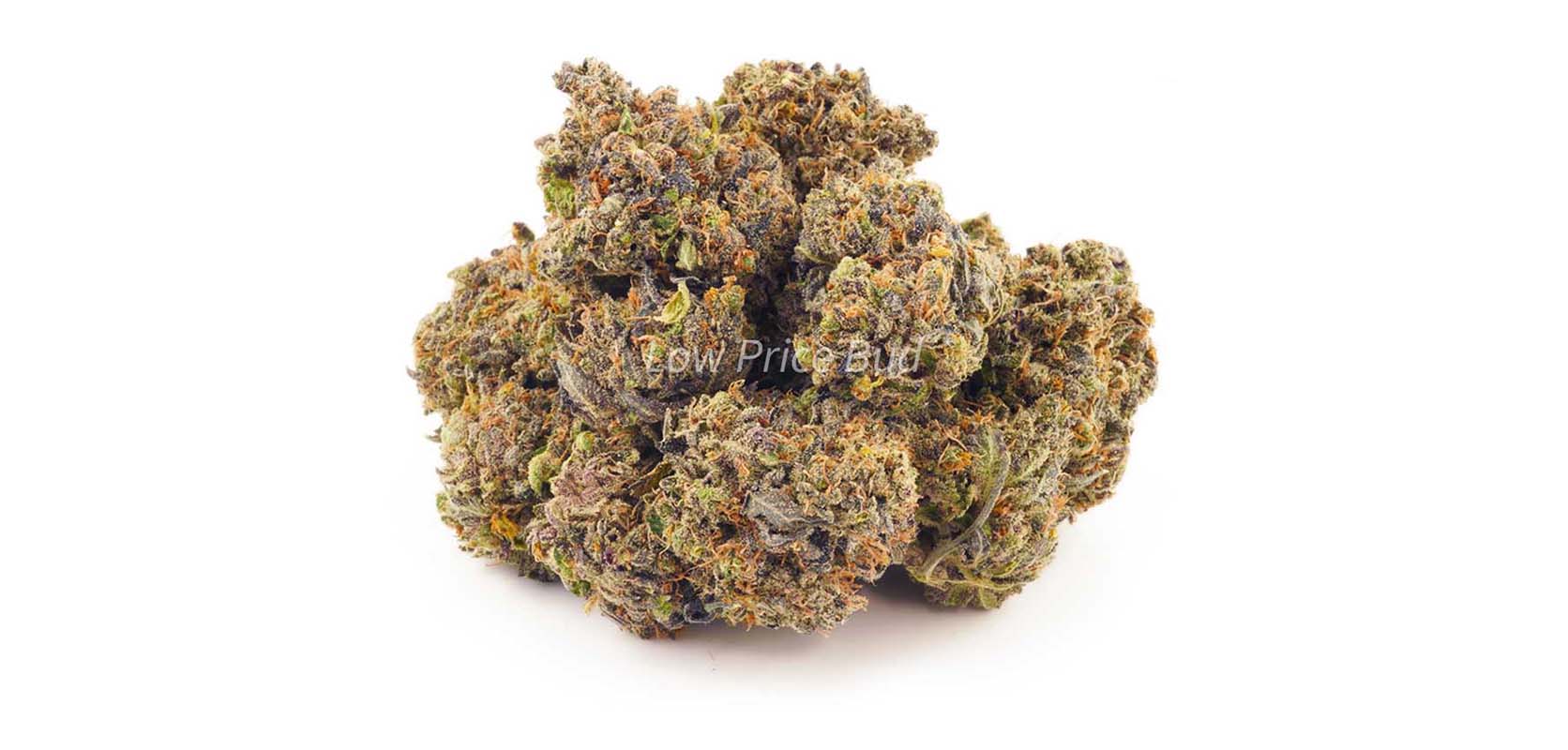 Purple Ice Cream Cake value buds. Buy weed online in Canada from cheapweed dispensary Low Price Bud mail order marijuana weed store. dispensary weed. 