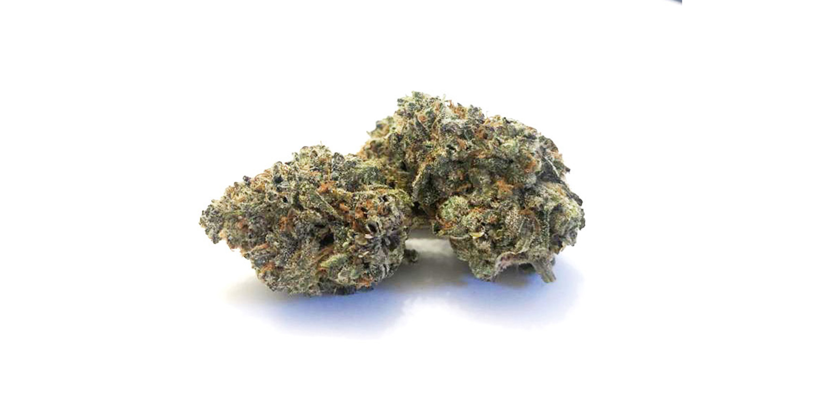 Black Nuken strain budget bud for sale at Low Price Bud weed dispensary and value buds weed store for BC cannabis and weed online Canada.