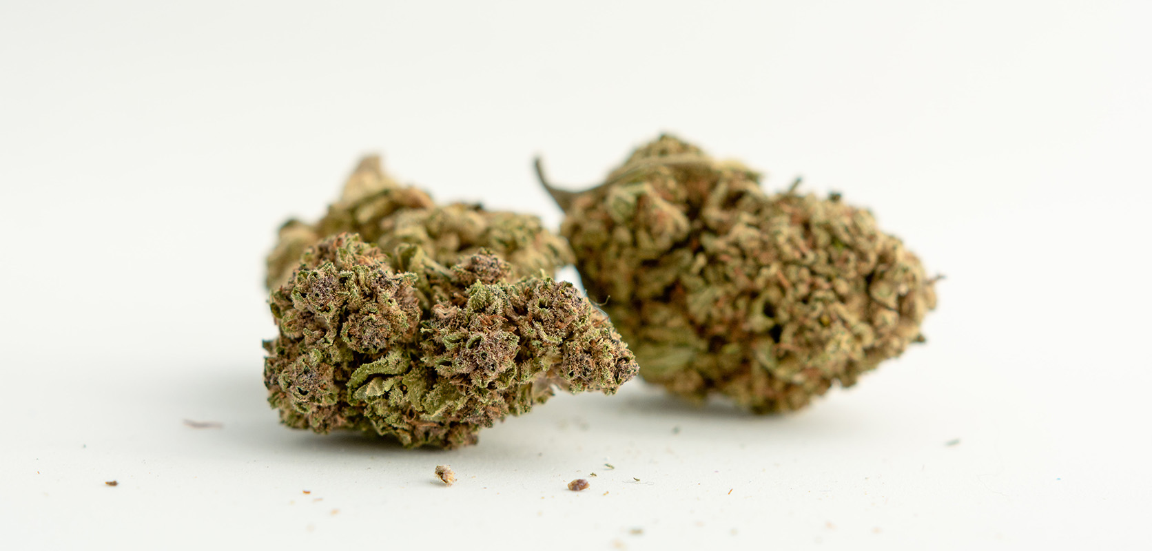 High Octane OG strain value buds at Low Price Bud weed dispensary and mail order marijuana weed store. 