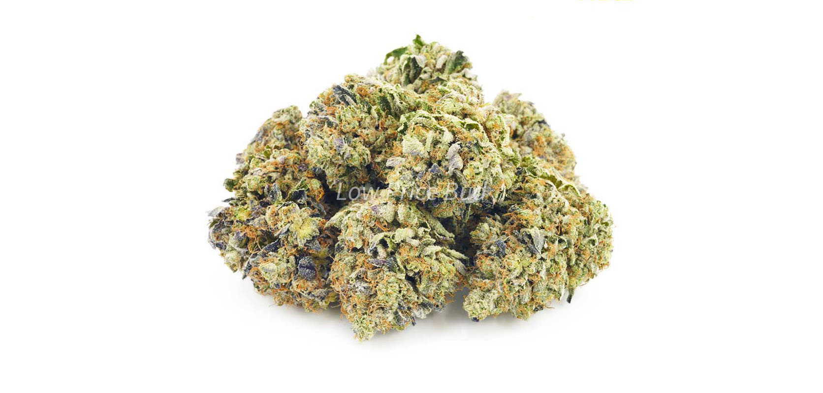 OG Octane value buds at Low Price Bud weed dispensary. Buy weed online. Cheapweed, budget bud, edibles, and gummys.