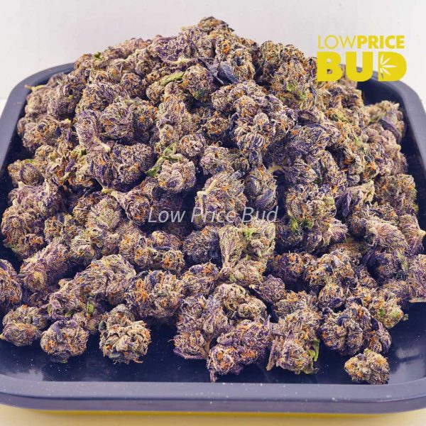Buy Purple Lightning (AAAA) – Popcorn Nugs online Canada