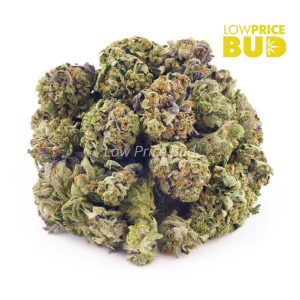 Buy Purple Wedding Cake (AAAA) – Popcorn Nugs online Canada