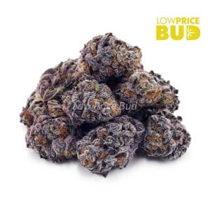 Buy Grape Ape (AAA) online Canada