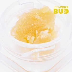 Caviar – Fucking Incredible Buy Caviar – Fucking Incredible online Canada