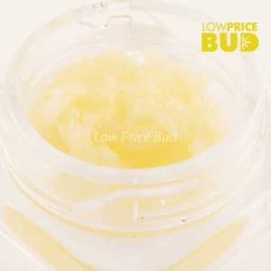 Caviar – Holy Grail Buy Caviar – Holy Grail online Canada