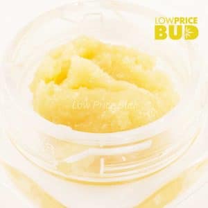 Caviar – Island Pink Kush Buy Caviar – Island Pink Kush online Canada