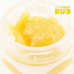 Caviar – Island Sweet Skunk Buy Caviar – Island Sweet Skunk online Canada