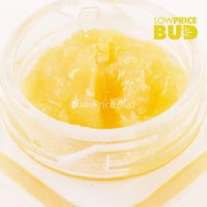 Caviar – Master Jedi Buy Caviar – Master Jedi online Canada