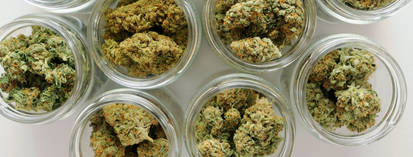 Find Suitable Containers For Your Weed