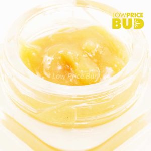 Buy Caviar – Master Jedi online Canada