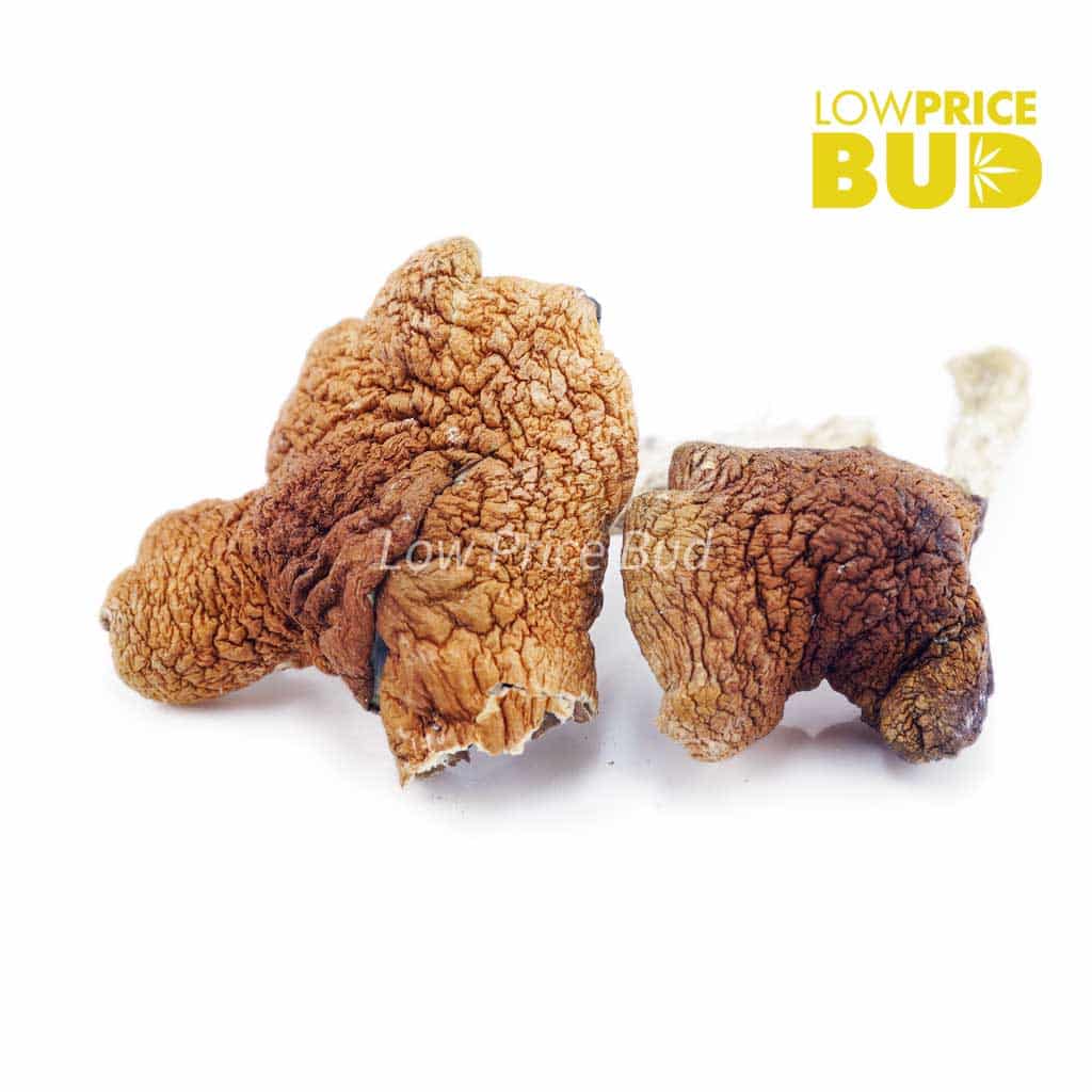 Mushrooms – Amazonian Buy Mushrooms – Amazonian online Canada