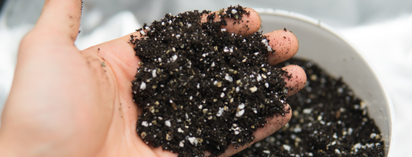 How To Use Your Cannabis Soil Mix