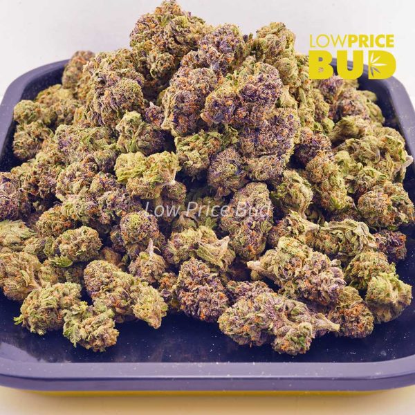 Buy Purple Zkittlez (AAAA) – Popcorn Nugs online Canada