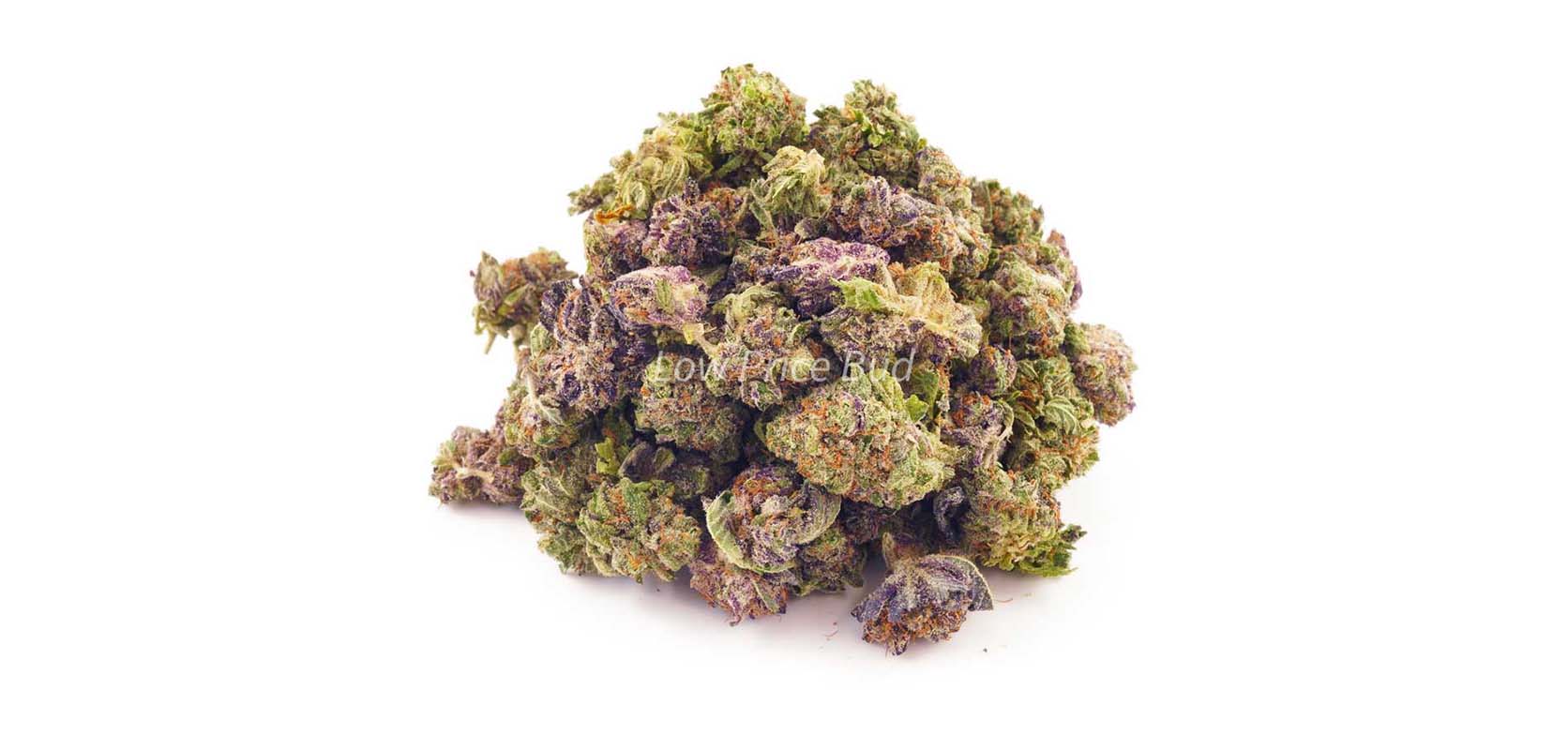 Purple Punch weed online Canada from Low Price Bud weed store and online dispensary for value buds. dispensary weed.