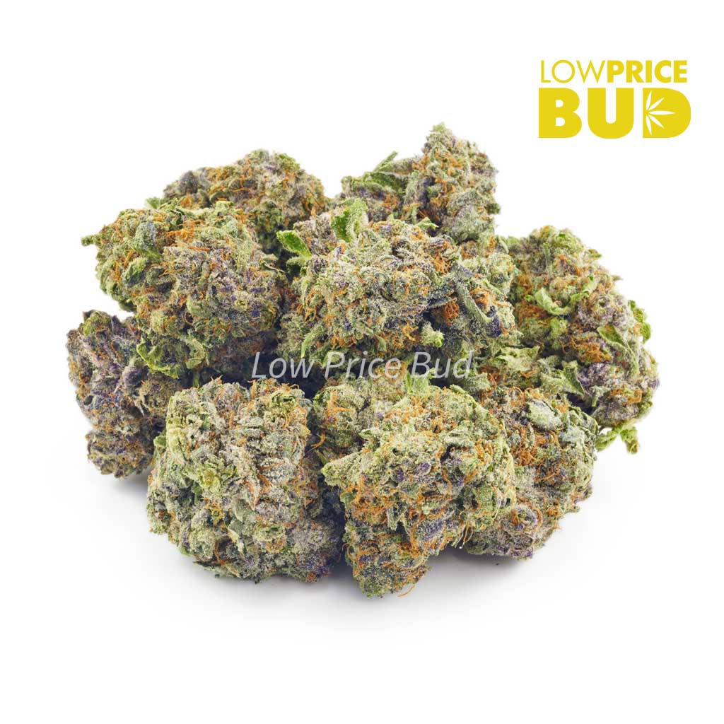 Buy Sour Tangie (AAA) online Canada