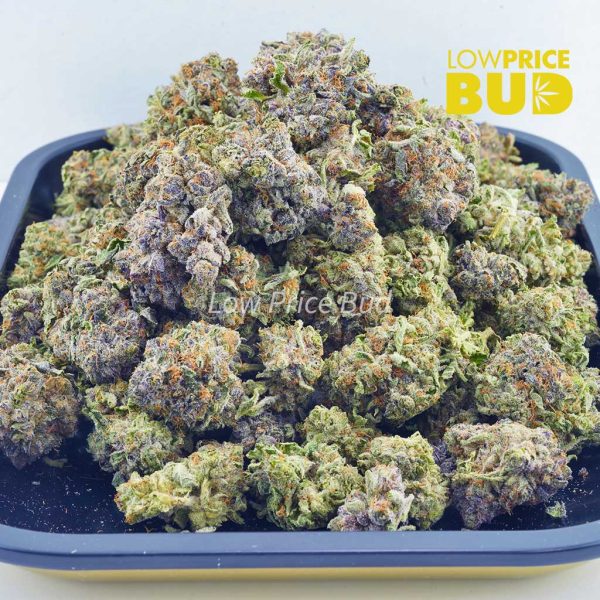 Buy Sour Tangie (AAA) online Canada