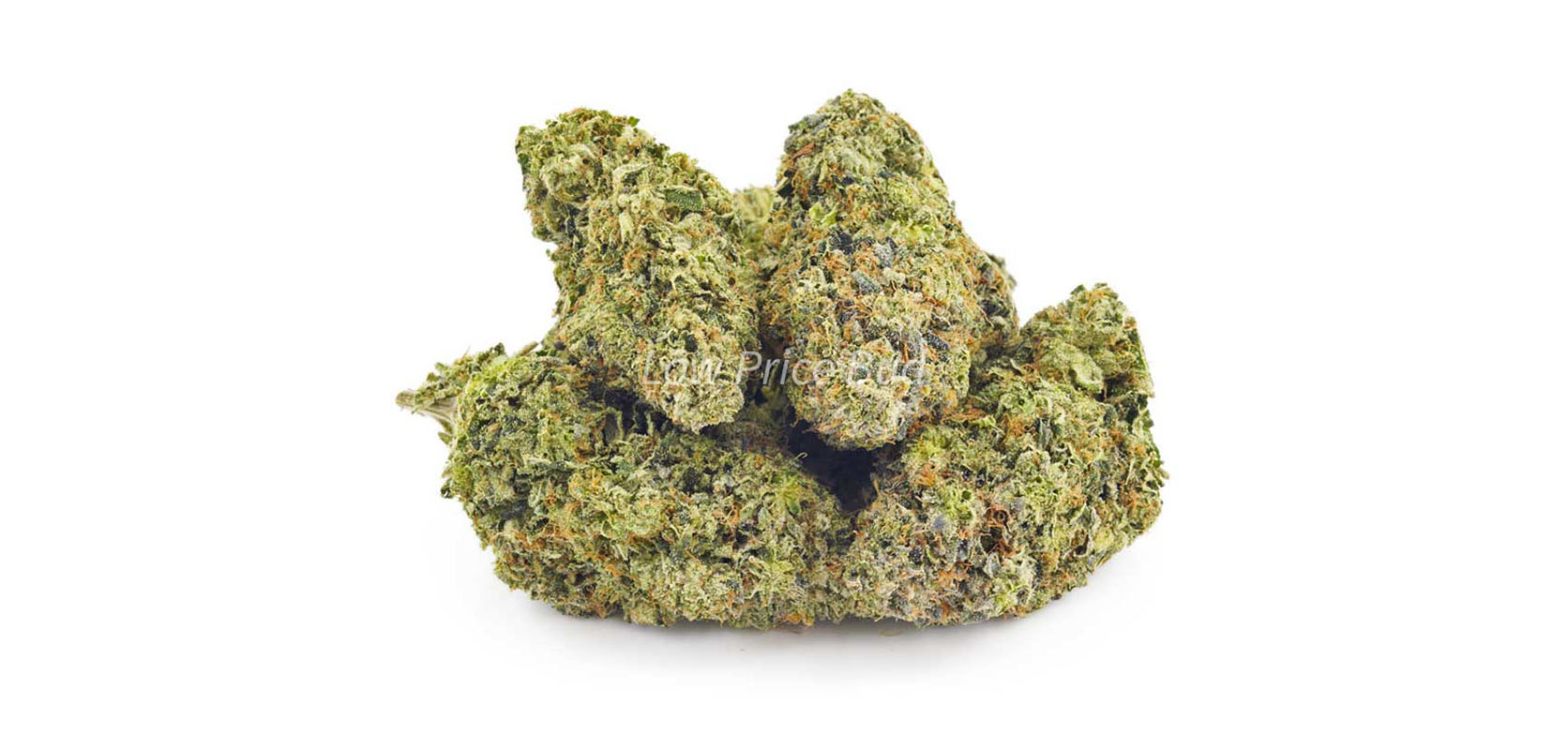 Supreme Gas Mask weed omnline Canada from BC Cannabis dispensary and mail order marijuana online dispensary Low Price Bud. BC Buds online and weed store.