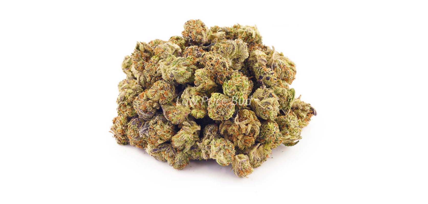 Haymaker weed online Canada from Low Price Bud weed dispensary. Buy dispensary weed, BC cannabis, and BC bud online. 