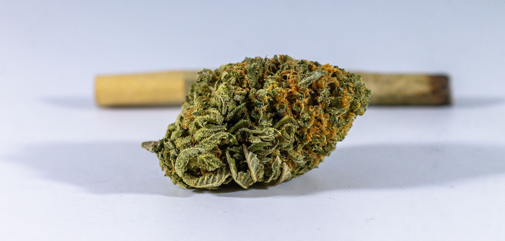 Indica strain budget bud from Low Price Bud online dispensary & mail order marijuana weed store to buy weed online in Canada. Cheap canna, value buds, gummys, and shatter online Canada.