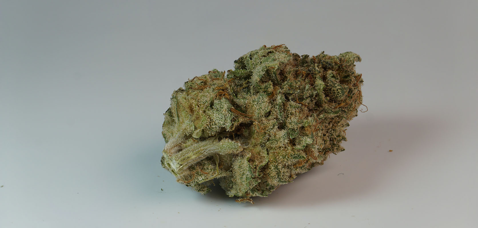 Rainbow Driver strain budget bud from Low Price Bud online dispensary for cheap canna, dispensary weed, dab pen, and edibles online Canada.