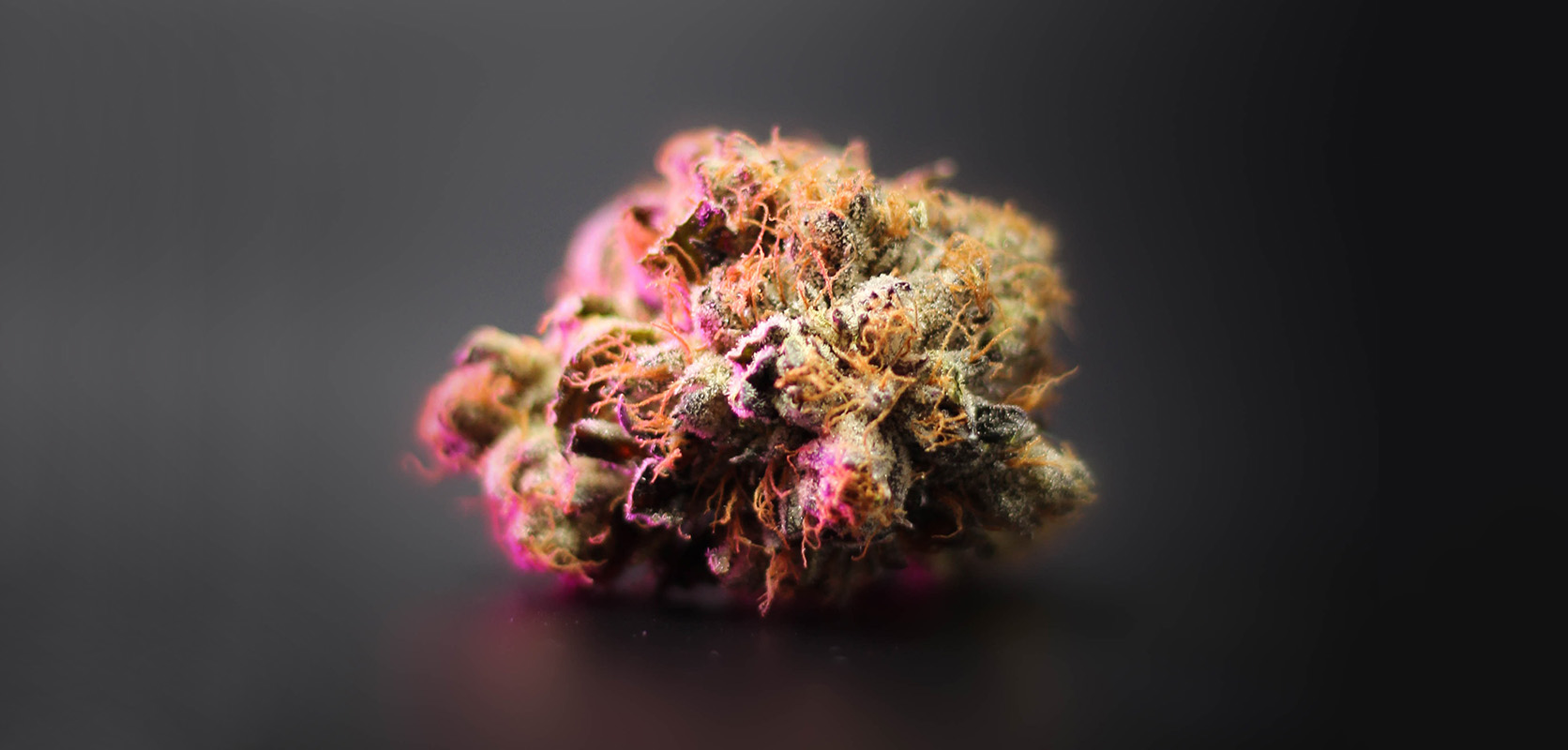 Pinkman Goo weed buds from BC cannabis online dispensary Low Price Bud. Alberta cannabis dispensary. Online dispensary for cheap weed, shatter, gummy, and value buds.